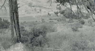Ranch 1940's